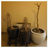 3 Planters With Dormant Plants And 2 Planter Stand