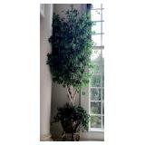 Artificial Birch Tree in a Gold-Accented Japanese-