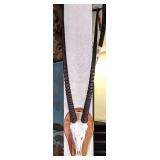 African Gemsbok Taxidermy European Skull Mount on