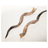 Pair of Polished Greater Kudu Horns
