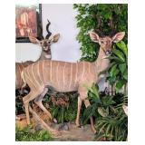 SCI GOLD MEDAL African Lesser Kudu Full Body Rolli