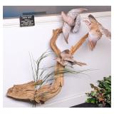 Set of 3 African Dove Taxidermy Full Mounts Flying