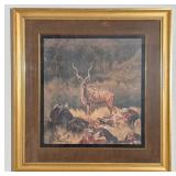 Greater Kudu By Charles Frace Framed Print