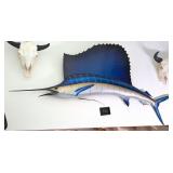 Full Body Sail Fish Taxidermy