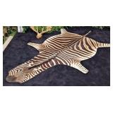 African Zebra Rug Taxidermy w/ Black Carpet Backin