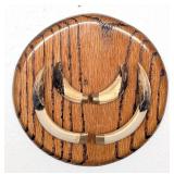 African Bushpig Tusk Taxidermy Display on Wood Pla