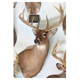 12 Point Whitetail Deer Shoulder Mount Taxidermy
