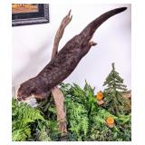 Swimming Full Body River Otter Taxidermy Mount