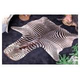 Zebra Hide Taxidermy Rug with Carpet Backing and P