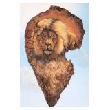 African Elephant Ear Taxidermy Mount U.S. Resident