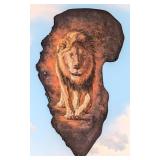 African Elephant Ear Taxidermy Mount U.S. Resident