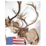 SCI GOLD MEDAL Quebec Labrador Canada Caribou Taxi