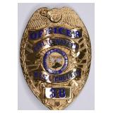 Obsolete Mesa College Arizona Public Safety Badge