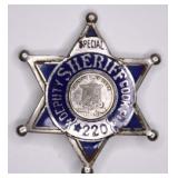 Obsolete Cook Co. Illinois Deputy Sheriff Badge