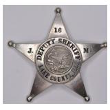 Obsolete Lake Co Illinois Deputy Sheriff Badge #16