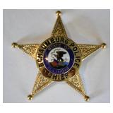 Obsolete Schaumburg Illinois Police Chief Badge
