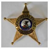 Obsolete Schaumburg Illinois Police Sergeant Badge