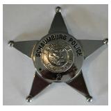 Obsolete Schaumburg Illinois Police Badge #2