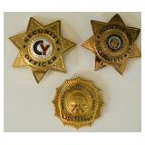 (3) Obsolete Security Officer Badges