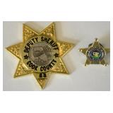 Obsolete Cook County Sheriff Badge & Pin