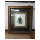 P5 large Eagle picture and an amazing frame