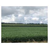 Midwest Farms Farmland Auction