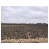 Kitcho Farmland Auction