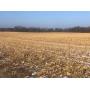 Mallory Farmland Auction