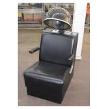Brllmont Venus Commercial Salon Hair Dryer