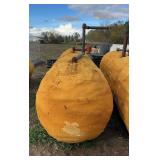1000 gallon insulated tank, row:5