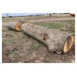 (3) oak logs, appr. 5' to 11', row:8