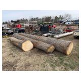 (3) Fresh cut oak saw logs, row:8