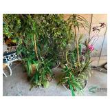 Numerous fake plants