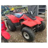 Suzuki Quad Runner 300