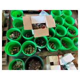 Numerous brass fittings