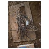 old leather harness and leads