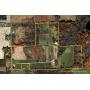 MSP Farm Real Estate