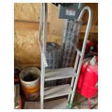 Pool ladder and chicken wire