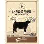 A+ Angus - Steer, Heifer & Bred Heifer Sale