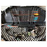 Reflex Grizzly bow & case, bldg:locked