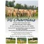 VG Charolais Great Lakes Production Sale