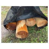 (4) Pine posts 8