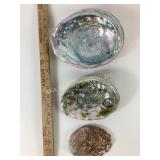 3 Abalone Shells - Beautiful Collectible