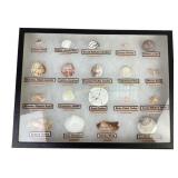 Large Display Case of Seashells with