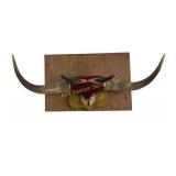 Mounted Longhorn Steer Horns on Wood Plaque