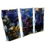 Framed Underwater Marine Life Prints