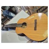 Guitar With Soft Case - Strings Need To Be