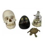 Weighted Owl, Brass Oil Can, Anatomical Skull, Tur