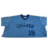 Chicago Cubs #18 Mitchell & Ness 1976 5xl Jersey