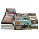 Postcards Featuring Animals, Humor, Scenery